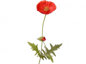 Dirbtinė aguonos šakelė 110349