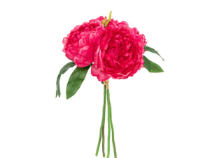 Bijūnų puokštė BOUQUET/110348B